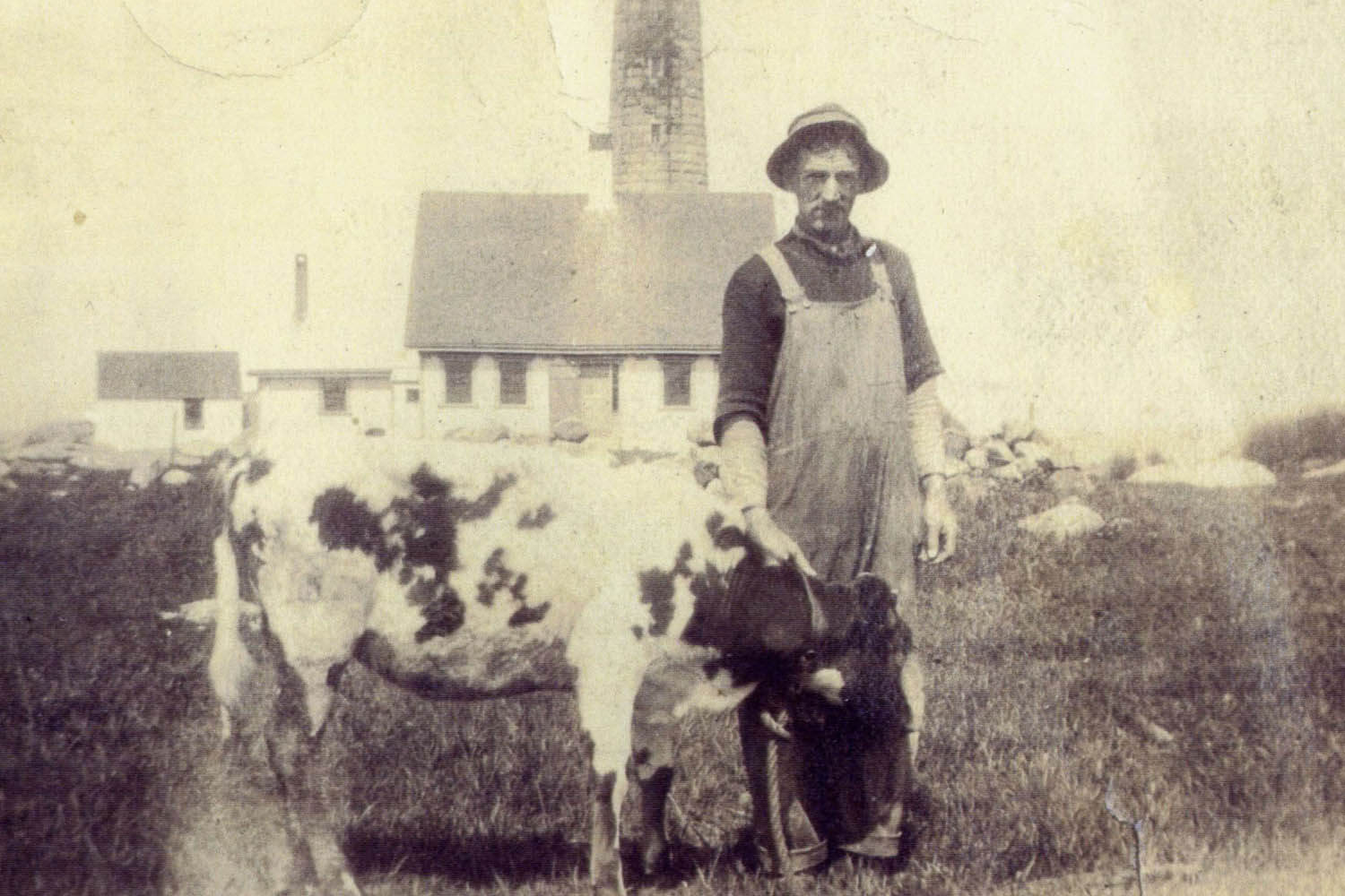A man standing next to two cows in the grass.