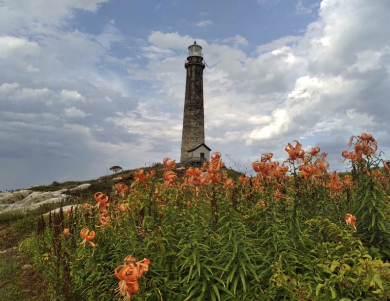 A lighthouse with flowers in the foreground.