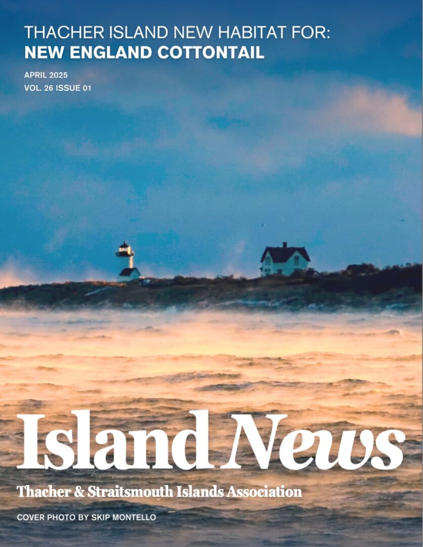 TSIA Newsletter April 2025
